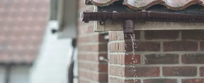 Resolving Rising Damp